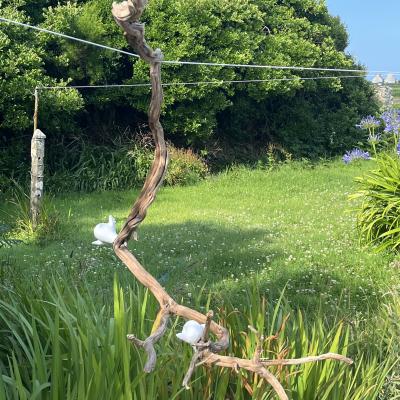 Nouvelles créations